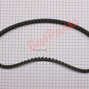 2157-7907 cinturón